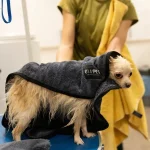 MicroPerformance 3 in 1 Complete Dog Drying Set
