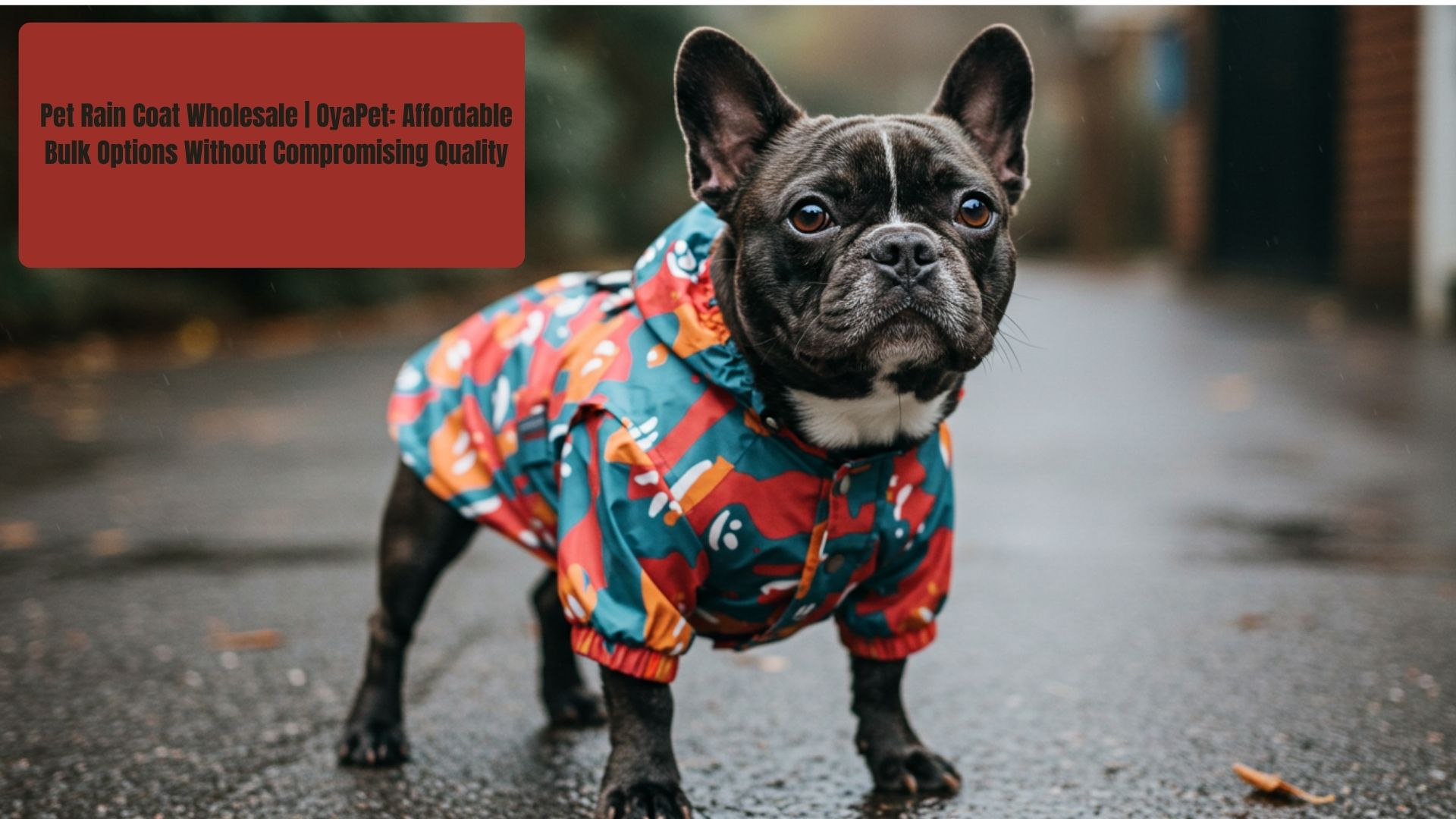 Pet Rain Coat
