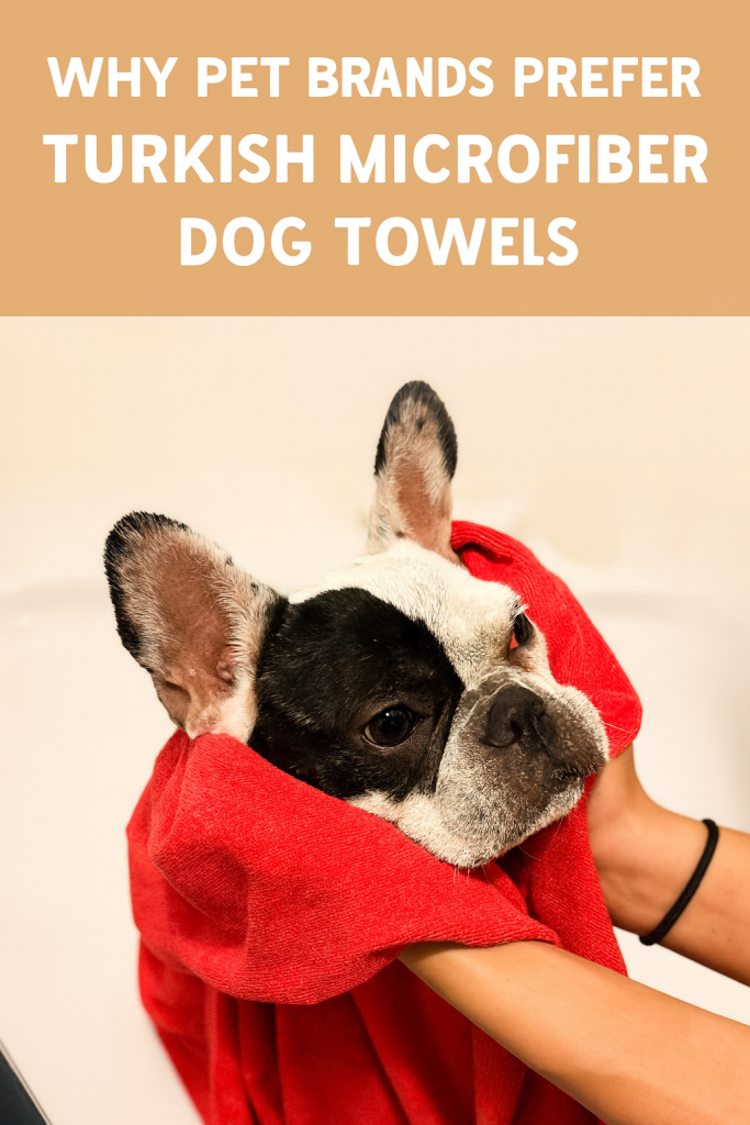 French Bulldog being gently dried with a red Turkish microfiber towel after a bath.