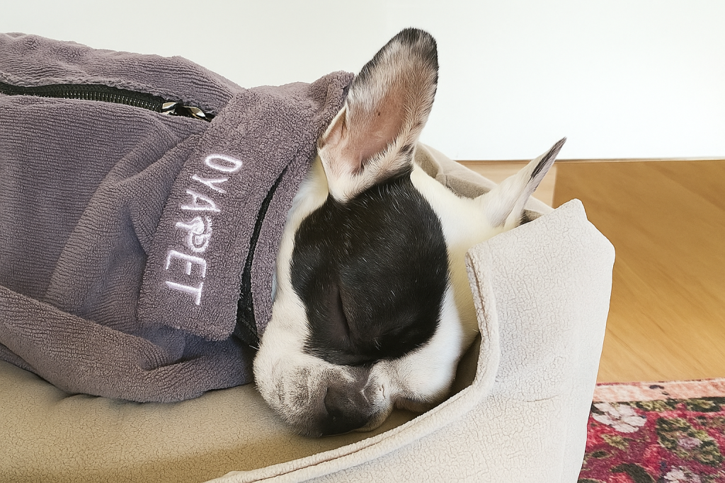 Dog drying coat from Turkey – OYAPET brand dog wearing a Turkish-made drying coat, representing why more pet brands source pet products from Turkey