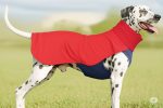 Dog wearing Soft Shell Dog Vest outdoors – wholesale pet apparel from Turkey