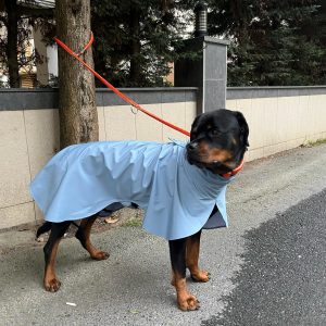 Dog Spring Rain Coat
