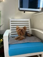 Water-Activated Dog Cooling Mat