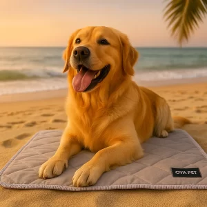 Water-Activated Dog Cooling Mat