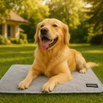 Water-Activated Dog Cooling Mat